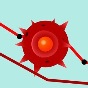 Crisis Management (E-book)