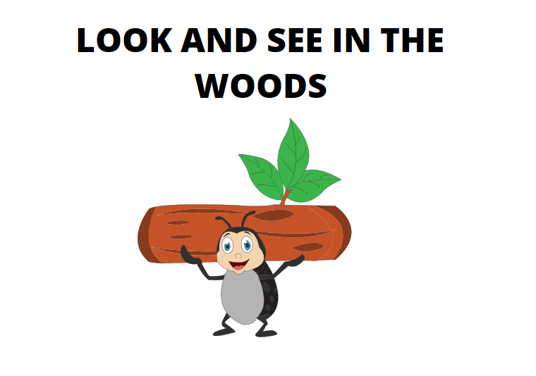 Look and See in the Woods Reading Comprehension