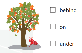 Prepositions Where are They