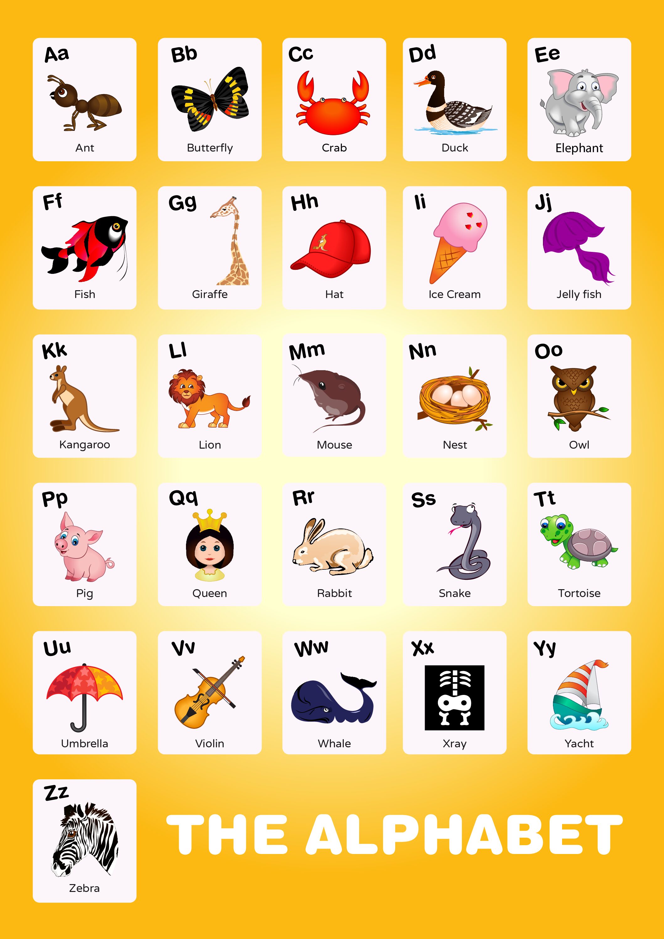 Alphabet Picture Chart for Toddlers