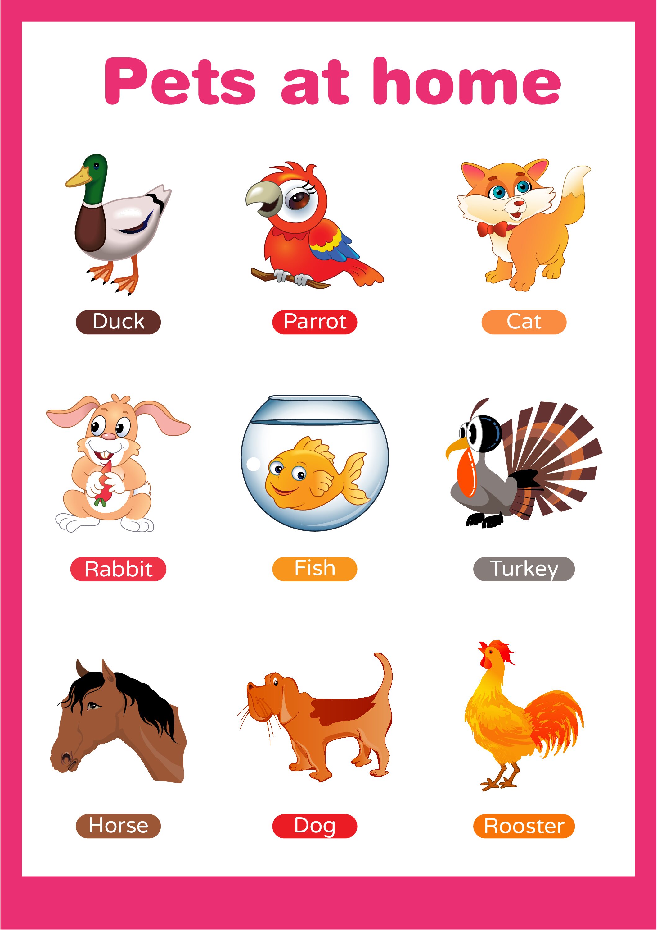 Pet Animals Poster for Children