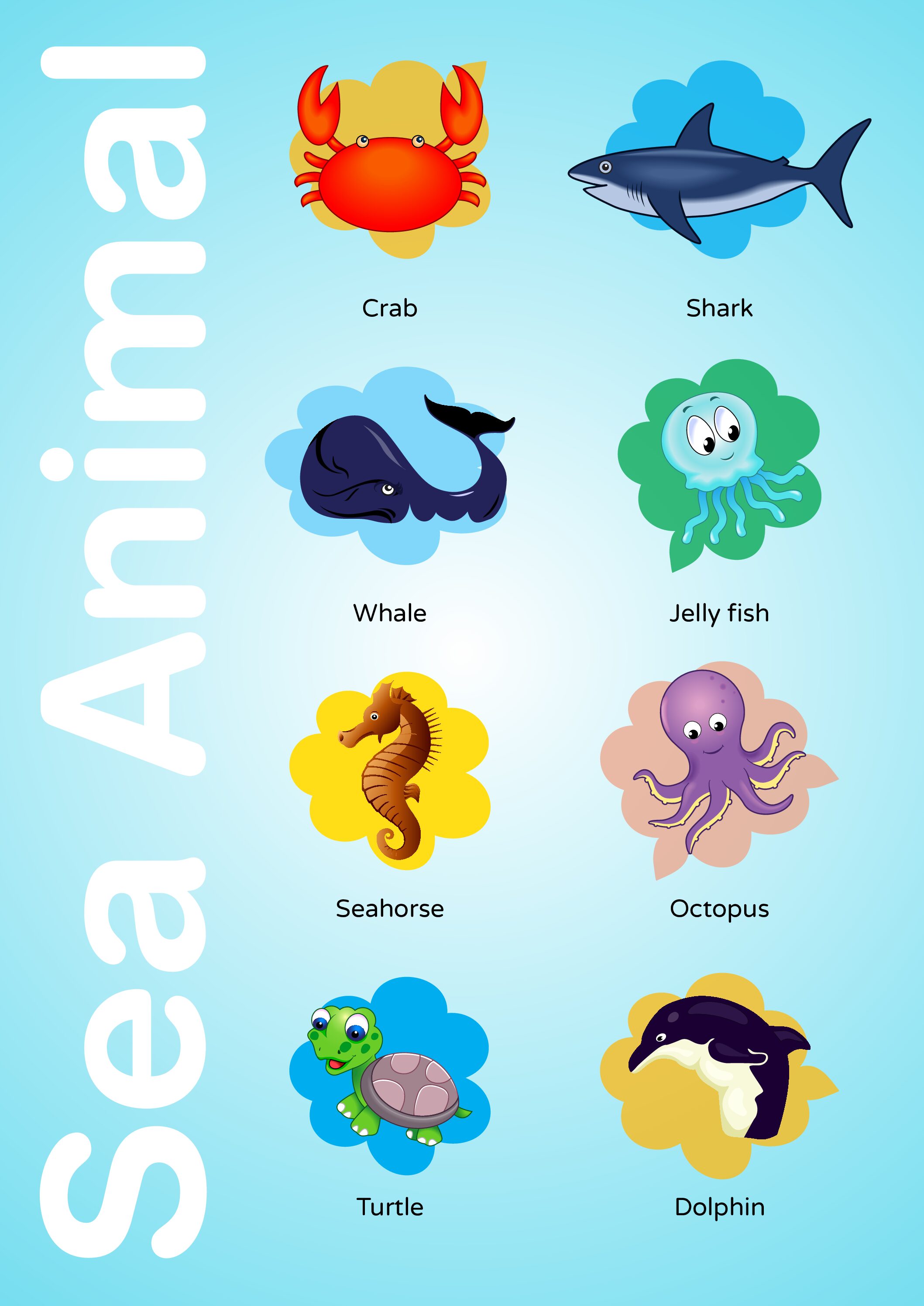 Sea Animal Chart 