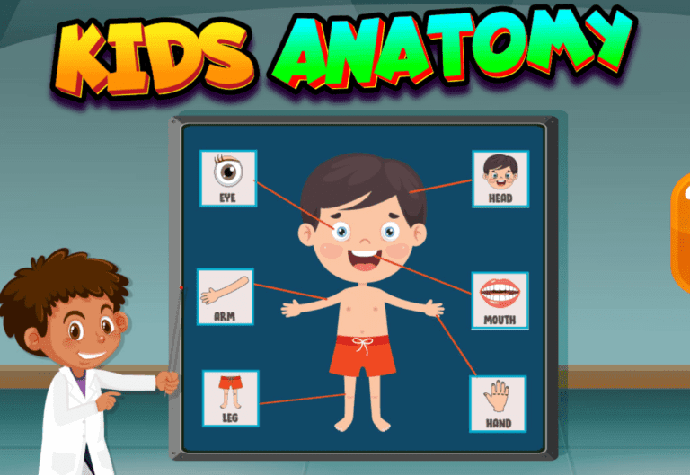 Kids Anatomy