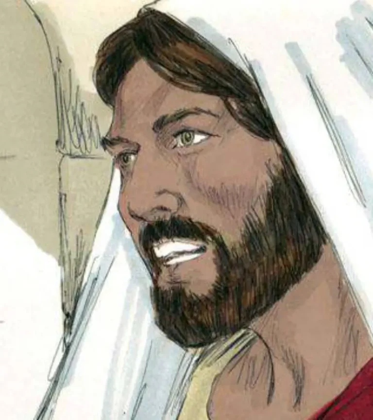 50 Illustrated Bible Stories