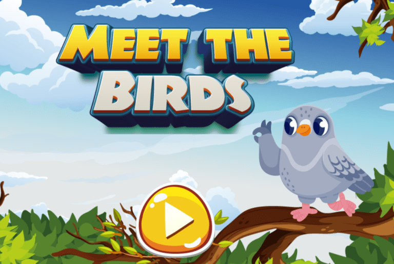 Meet The Birds