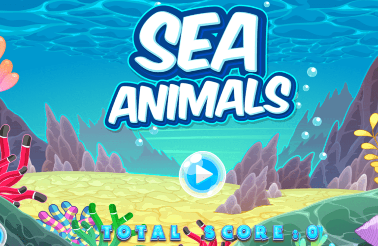Sea- Animals